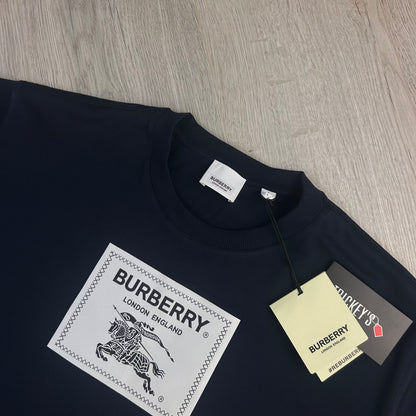 Burberry Men’s Navy T-shirt & Swim Shorts Set